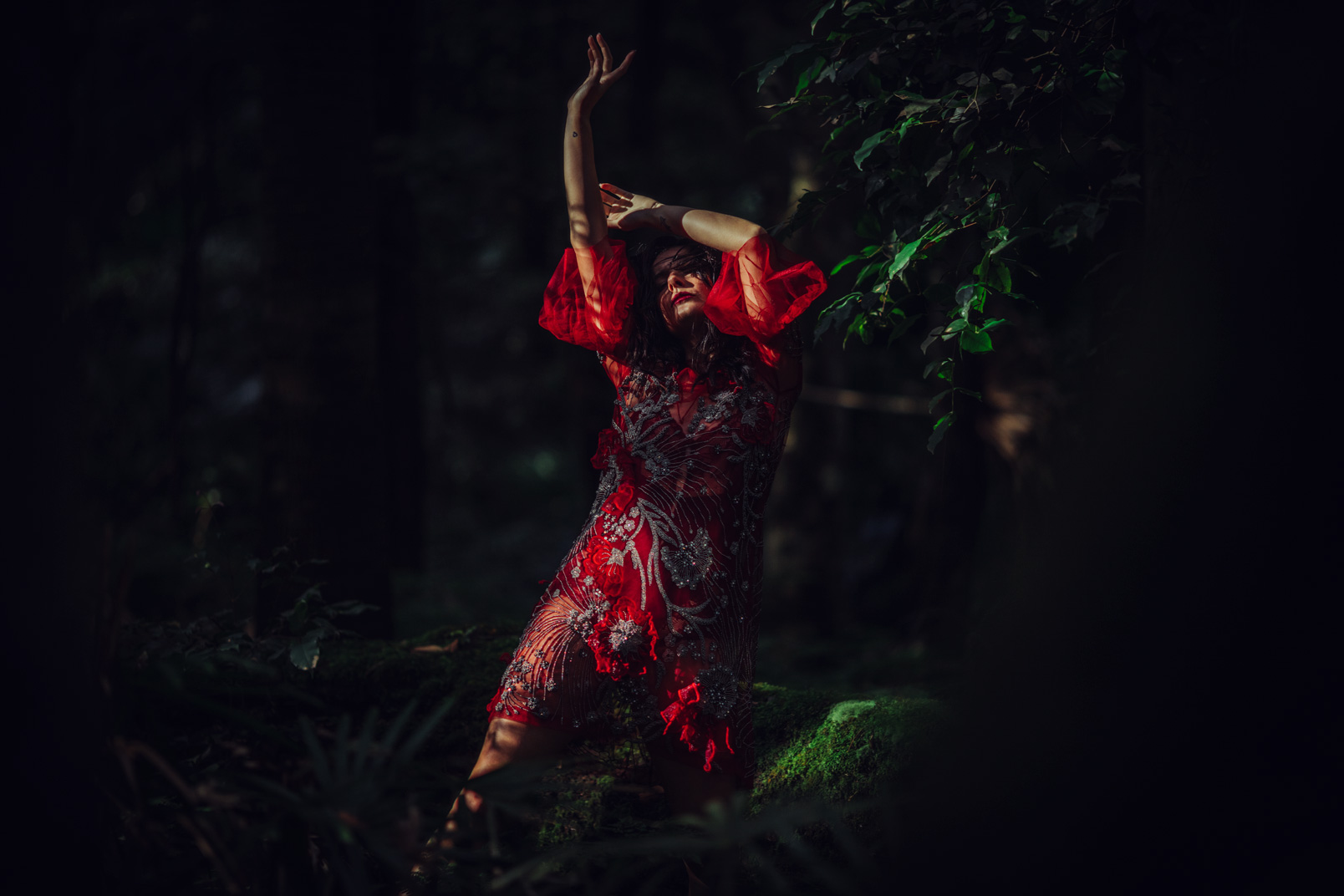 Dean Tirkot - Forest Flame 