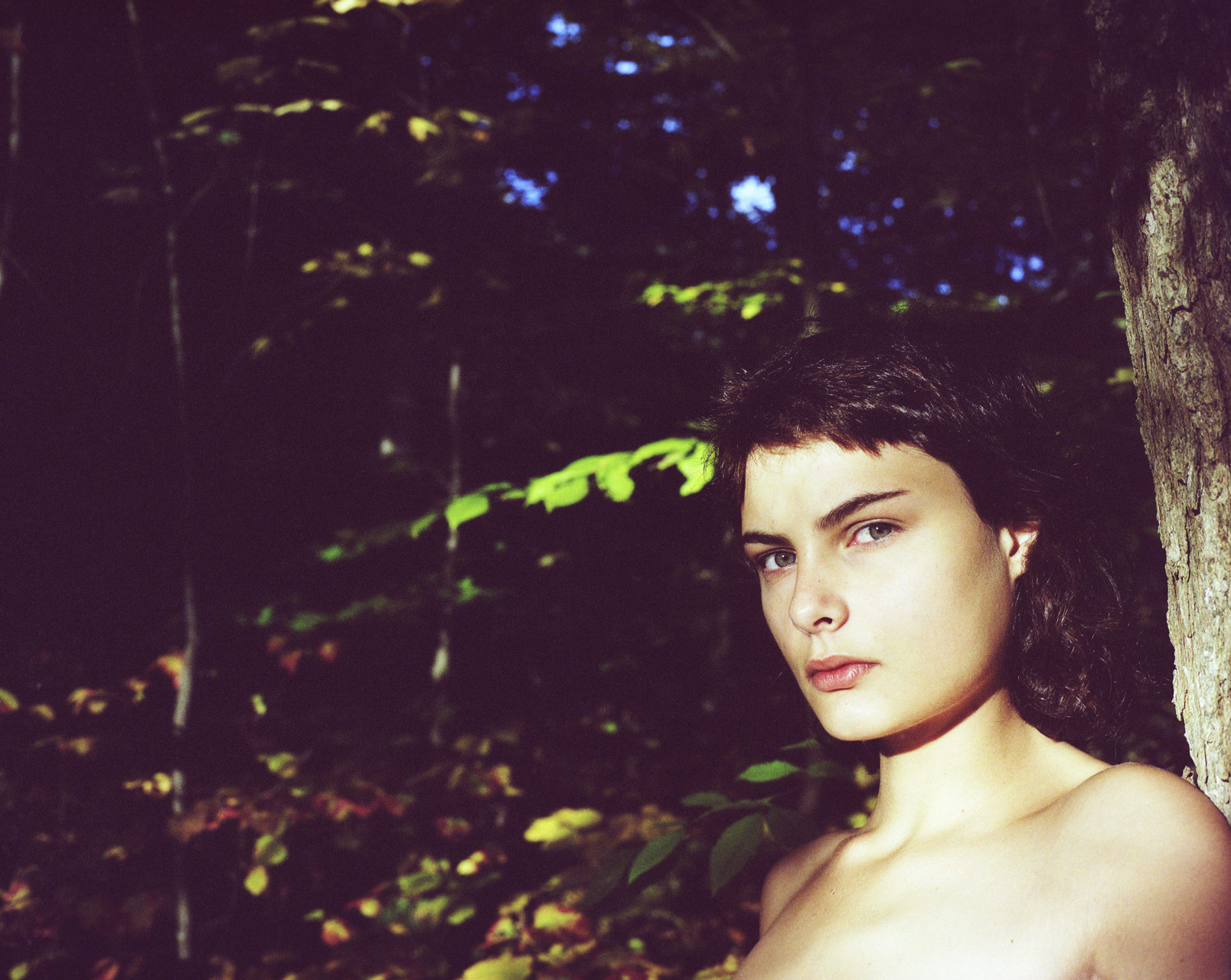 Dean Tirkot - Autumn Nudes
